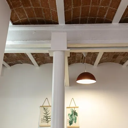 Prat Loft Apartmán Ripoll